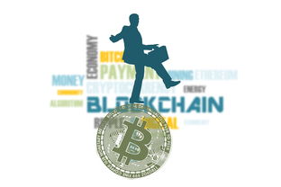 中国篮球运动中的跨学科研究发展趋势分析，篮球转跨